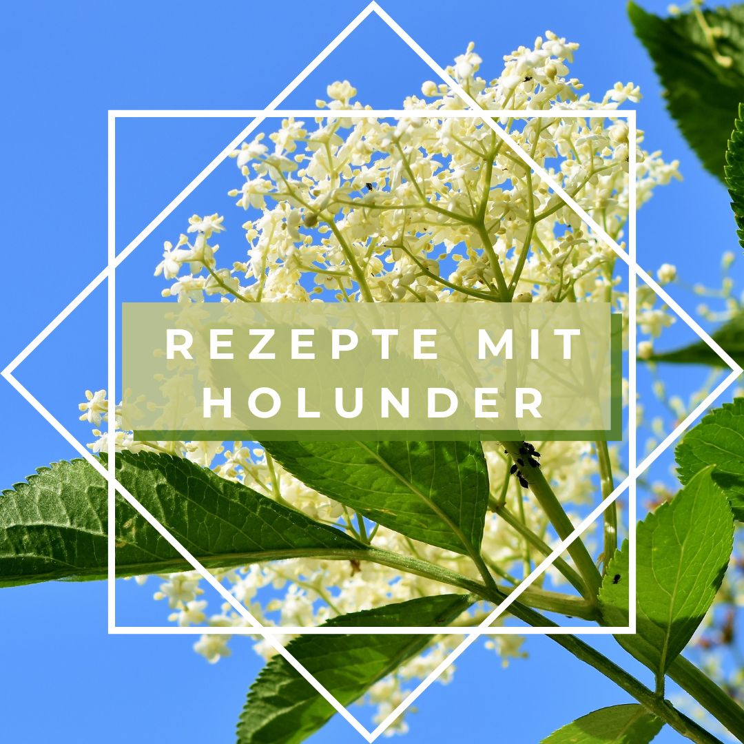 Rezepte mit Holunder